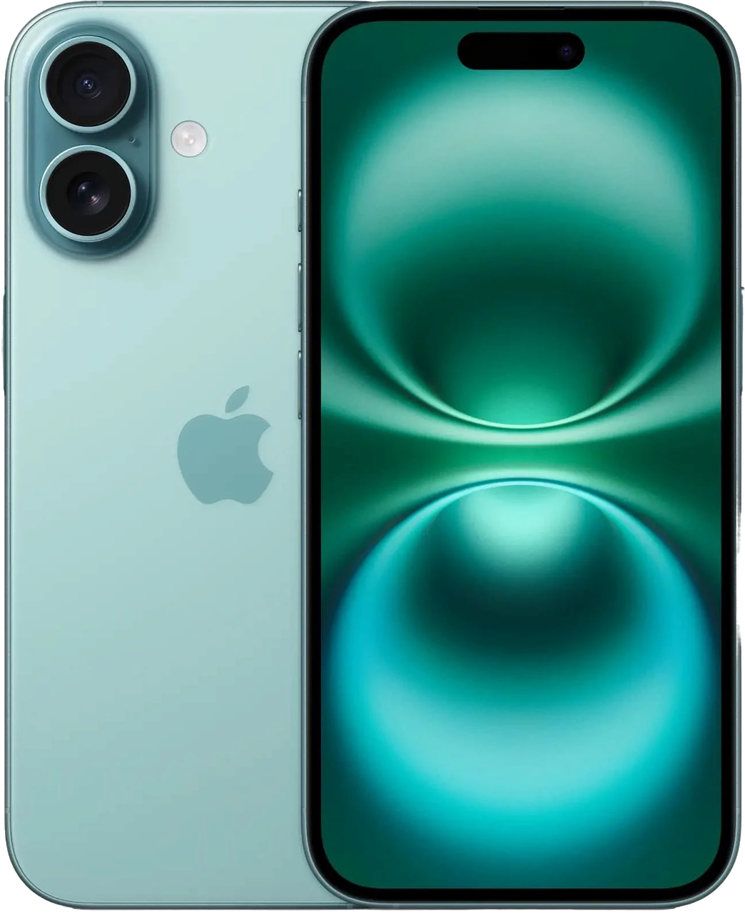 16 Plus
